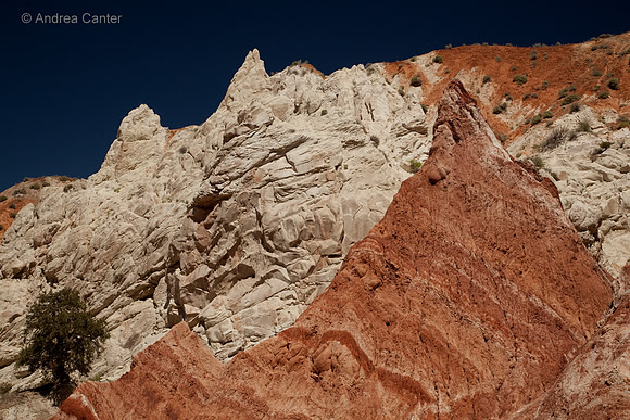 Cottonwood Canyon 55965z
