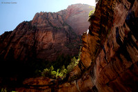 Zion  55787z