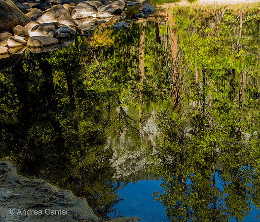 Reflections, Merced River 166483z