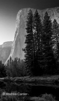 El Capitan 166502 BWz
