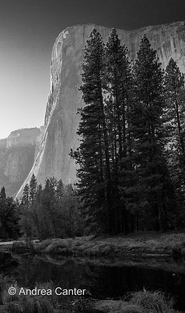 El Capitan 166502 BWz