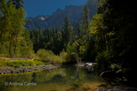 Merced River, Yosemite Valley 166404z