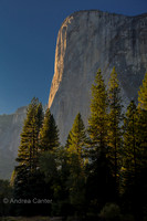 El Capitan 166495z