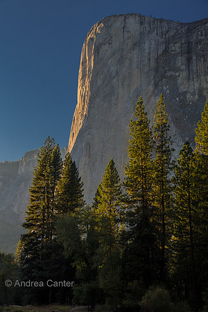 El Capitan 166495z