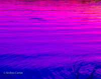 Purple Twilight 228441XBPKDBIz (2)