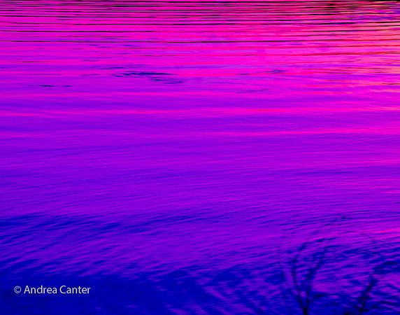 Purple Twilight 228441XBPKDBIz (2)