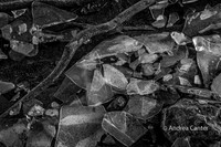 Ice Flow