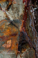 Glacial Fragments