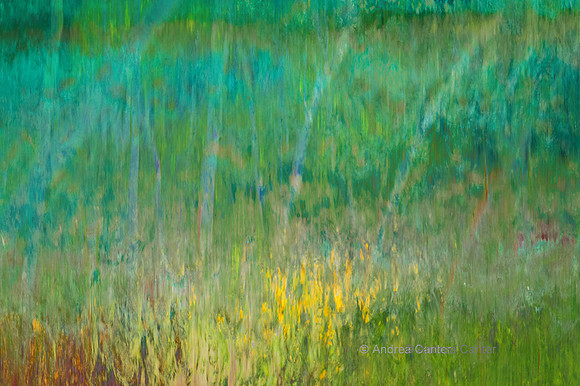 May ("Monet's Meadow")