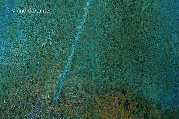 Ocean Floor (Alexander Valley)