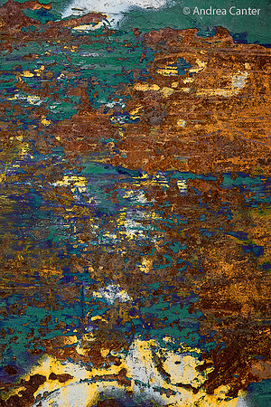 Coastline, Eastern Market  S6979XPCz