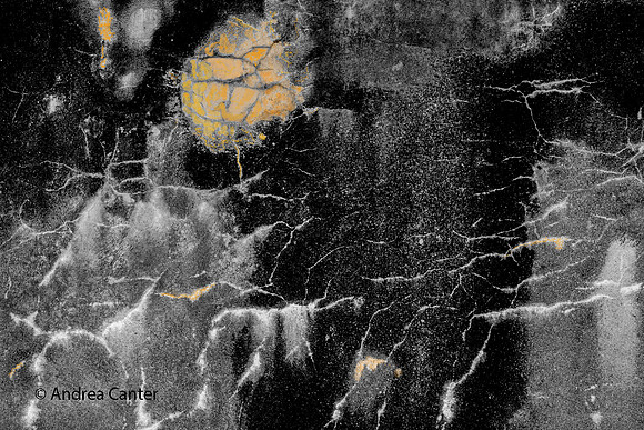 Minor's Moon BW S6848Cz