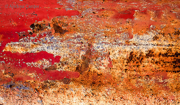 Red Sea