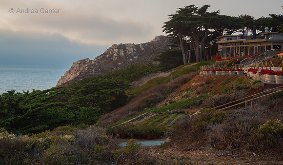 Rocky Point 59195z