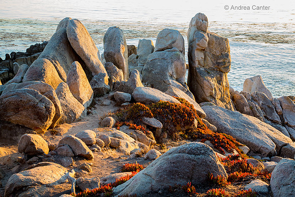 Rocky Point 58654z